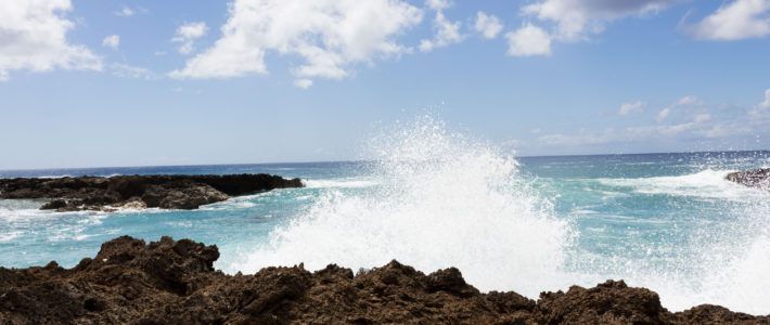 north shore waves hawaii